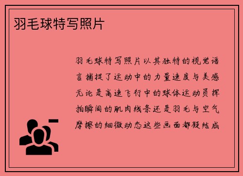 羽毛球特写照片